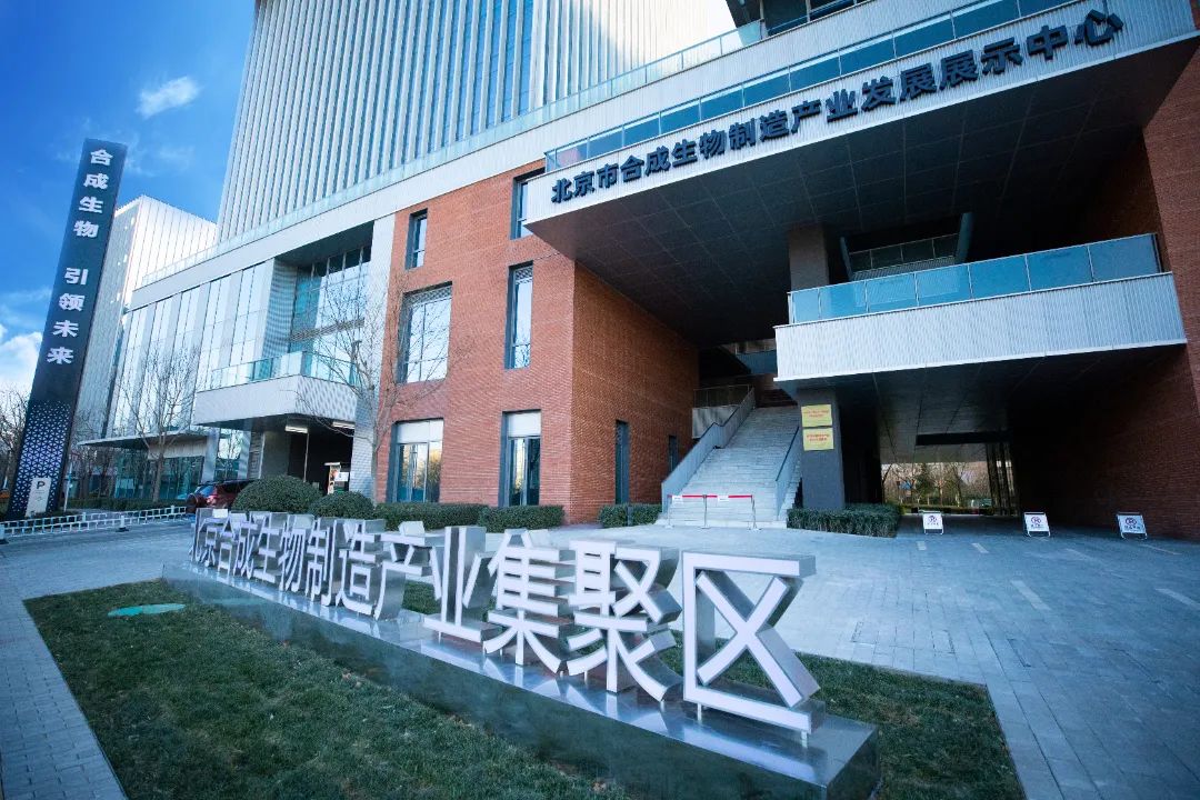 P203底图.jpg