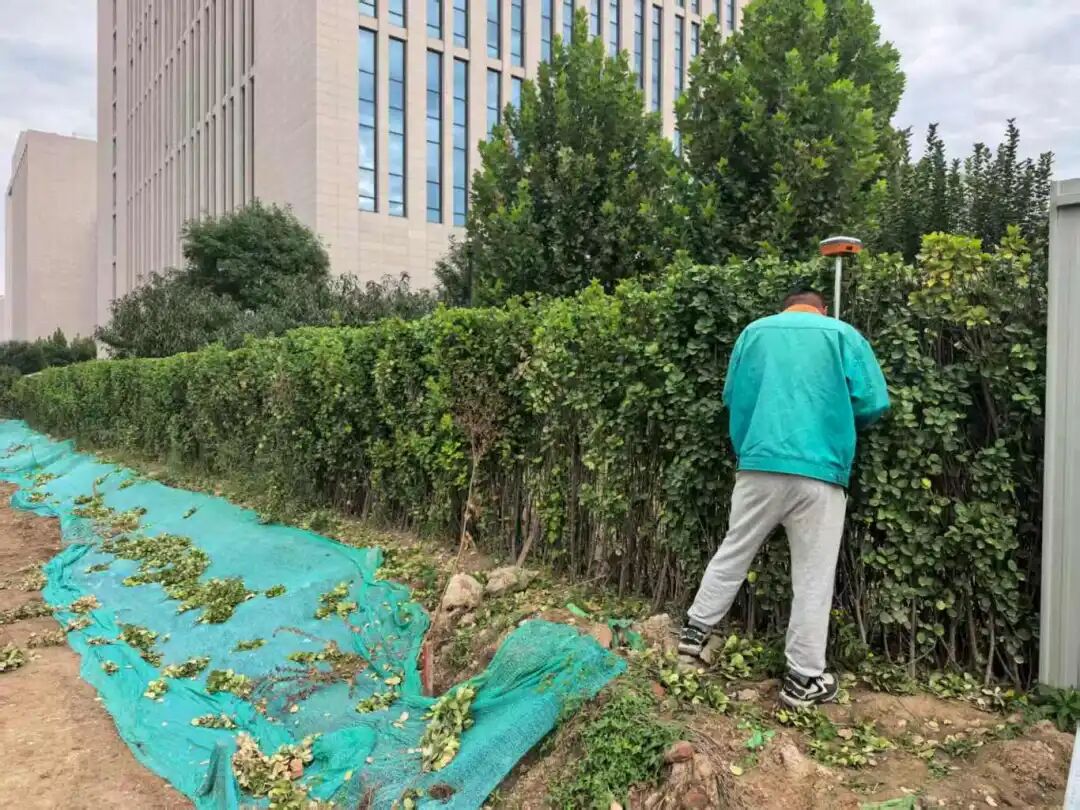 微信图片_20250917161902_163_1258.jpg